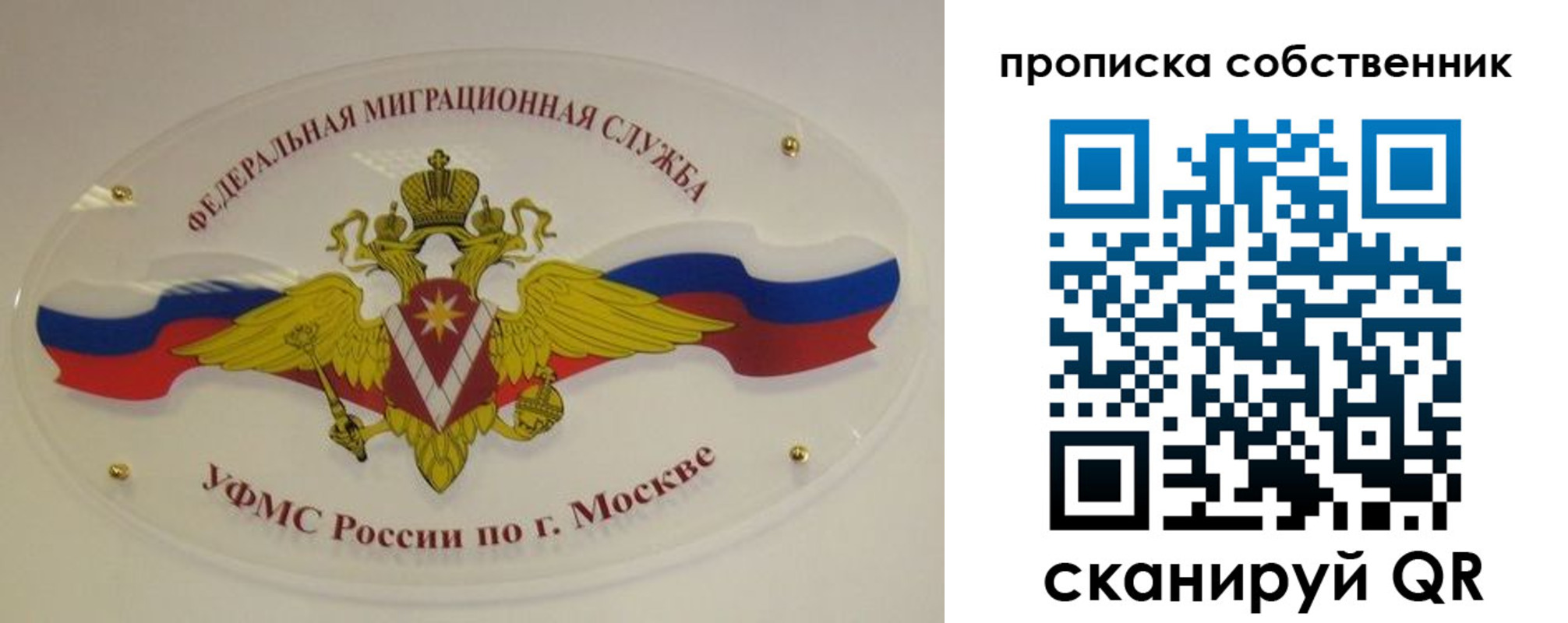 прописка 2025 в Касимове